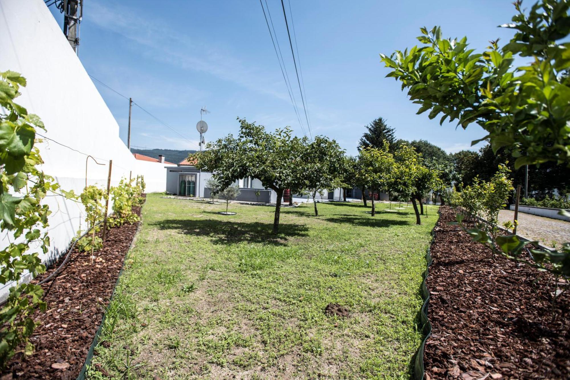 Quinta Do Pomar Pomar Farm Villa Briteiros Bagian luar foto